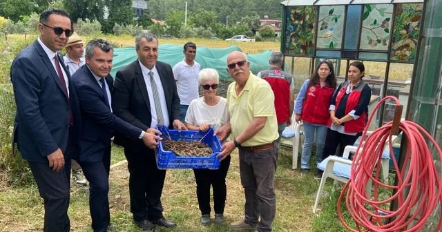 Dalaman da birinci sınıf öğrencileri çilek ve salep hasadı yaptı Muğla Haberleri