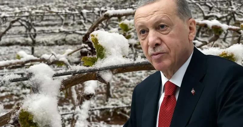 Bu yıl sıkıntı yaşayacağız diyen Cumhurbaşkanı Erdoğan, o ürünleri tek tek saydı