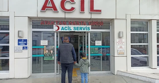 Başıboş köpeklerin saldırısına uğrayan Baturalp, yaralandı Kastamonu Haberleri