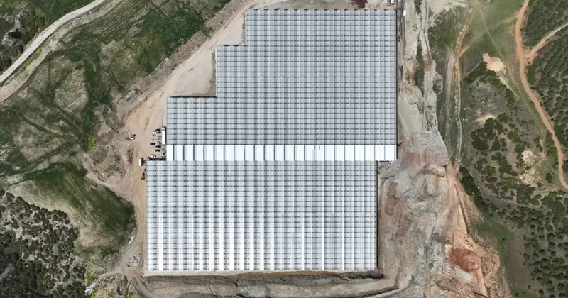 Manisa da jeotermal serada üretilen 500 ton domates ihraç edildi