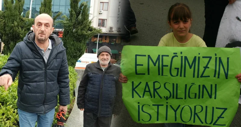 Rize de çay değil öfke demlendi! Erdoğan ın hemşehrileri fokur fokur