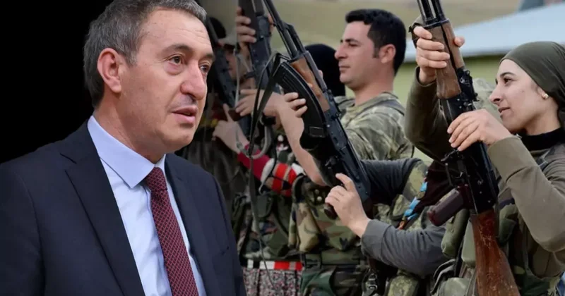 DEM Partili Bakırhan, PKK nın silah bırakması sonrası boşa düşecek koruculara iş önerdi