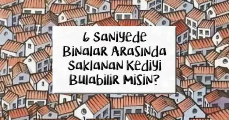 6 saniyede binaların arasında saklanan kediyi bulabilir misiniz?