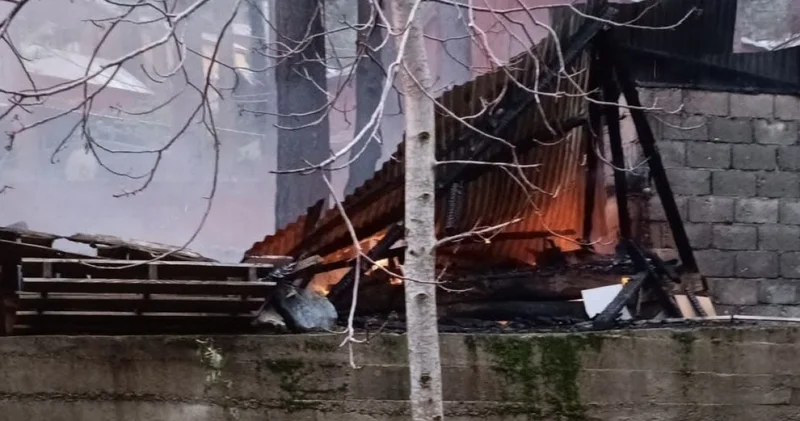 Amanos Dağı eteklerinde yangın: 3 ev kül oldu
