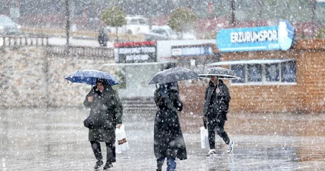 Erzurum kıştan çıkamadı: Mayıs ortasında lapa lapa kar yağdı Erzurum Haberleri