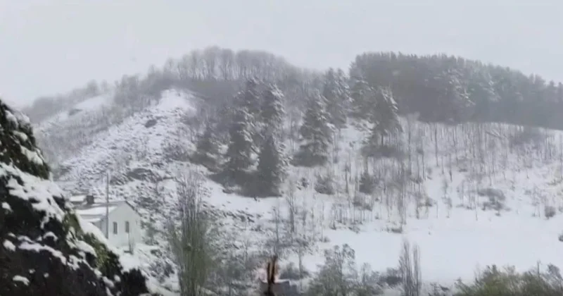 İlkbaharda kış geri döndü: Erzurum a lapa lapa kar yağdı