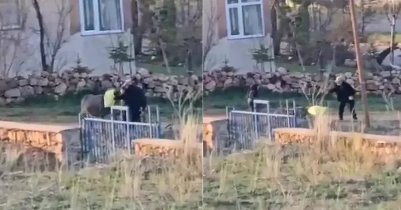 80 yaşındaki adamın sopayla dövdüğü eşek öldü