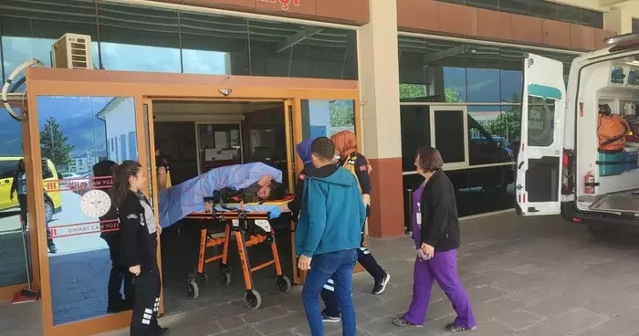 Çoban, omzundan düşen av tüfeği ateş alınca sırtından yaralandı