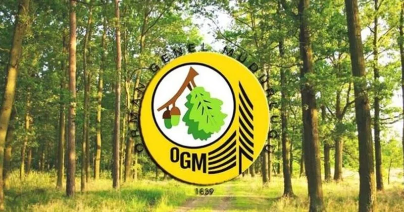 OGM SONUÇ TARİHİ 2025 OGM 3477 personel alımı sonuçları ne zaman, ayın kaçında açıklanacak? OGM personel alımı kurası ne zaman?