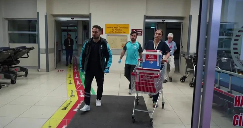 Minik Semih in organları 3 çocuğa umut oldu