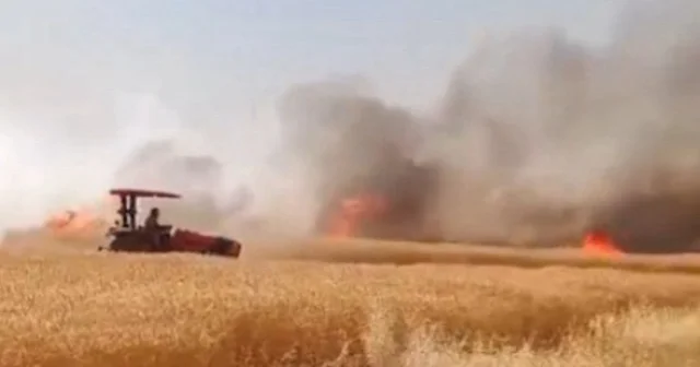 Şanlıurfa da 170 dönümlük tarlada yangın VİDEO İZLE