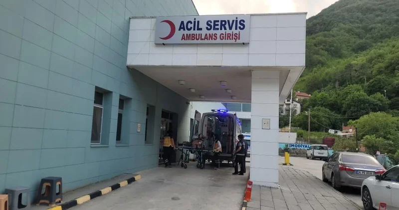 Akrebin soktuğu yaşlı kadın hastaneye kaldırıldı