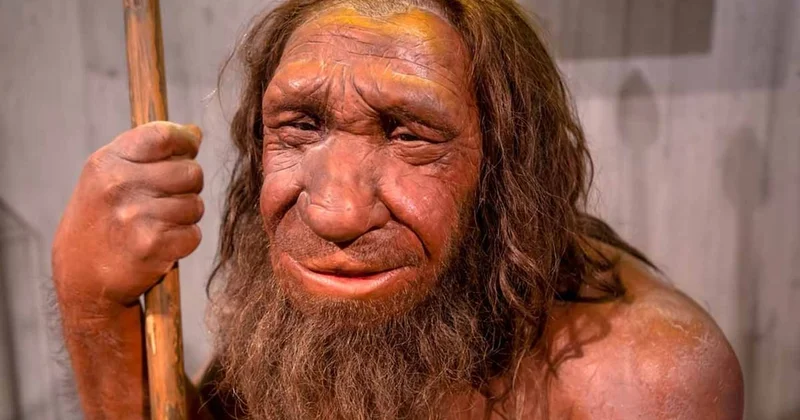 Neandertallerin modern insanlarla nerede çiftleştiği ortaya çıktı! Sözcü Gazetesi