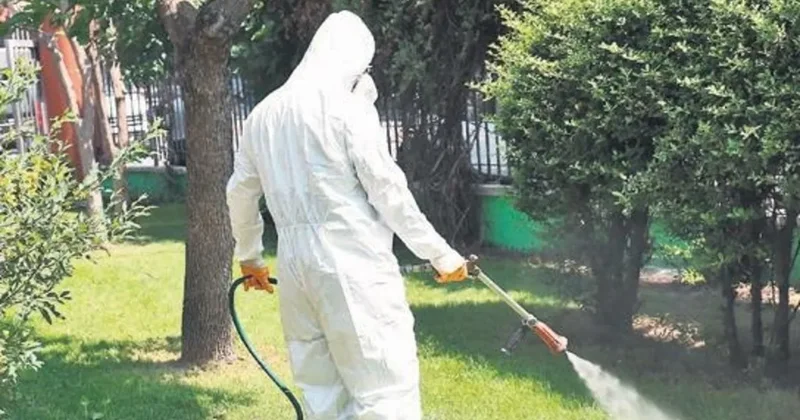 Kene vakalarında artış sürüyor