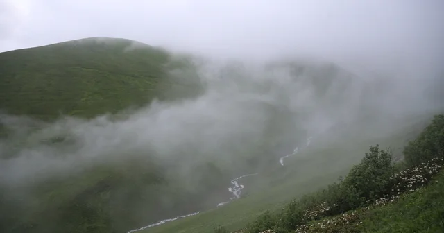 Rize de 20. Dağ Horozu Şenliği düzenlendi Rize Haberleri