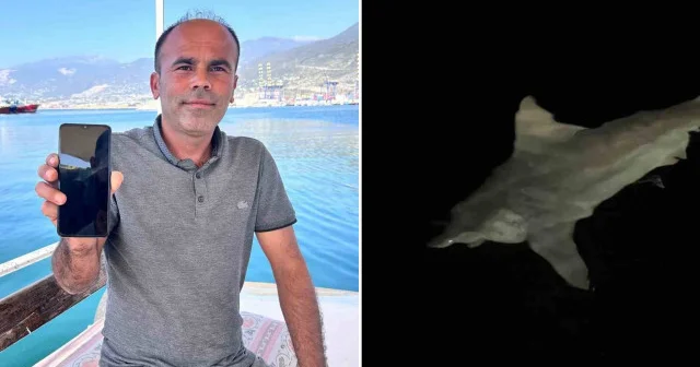 Heyecanla yakaladığı 2 buçuk metrelik devasa köpek balığını denize bıraktı Aktüel Haberleri
