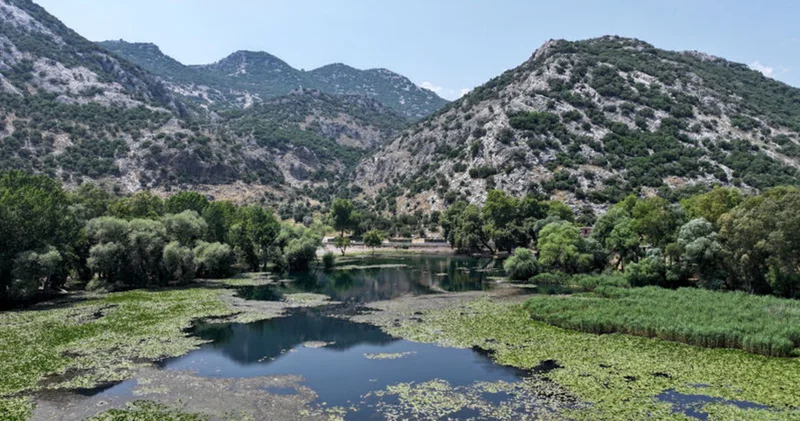 Antalya nın su kaynağı Kırkgöz, nilüferlerle kaplandı