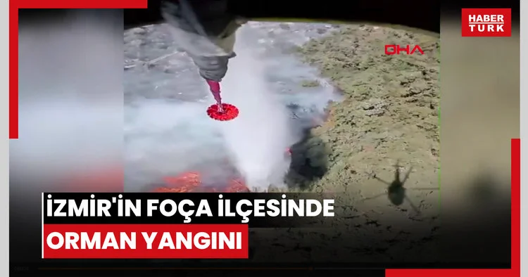 İzmir in Foça ilçesinde orman yangını