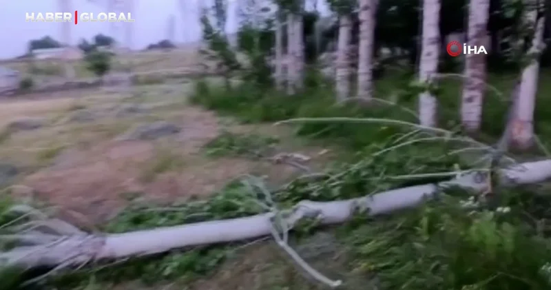 Muş’ta fırtına ağaçları ve elektrik direklerini devirdi