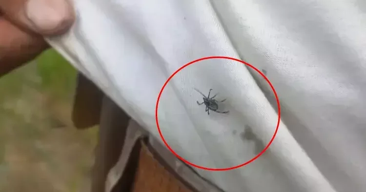 Yozgat’ta son 3 yılda artış oldu! Radarına girince kaçamıyorsun