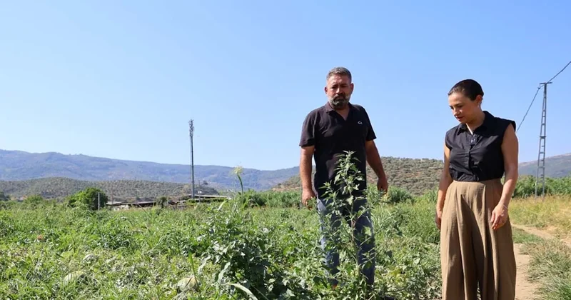 Satılmayınca kilosunu 1 TL yaptılar Sözcü Gazetesi