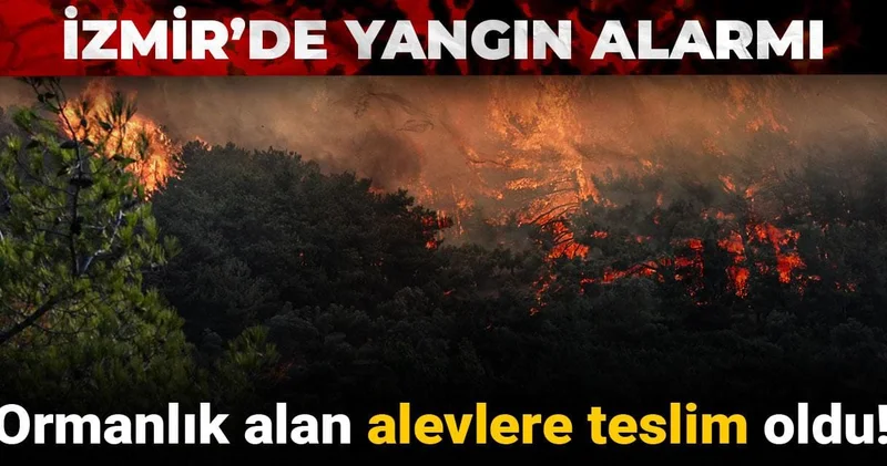 İzmir’de yangın alarmı: Ormanlık alan alevlere teslim oldu!