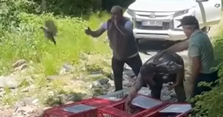 Kanatlı tim in mücadelesi sürüyor! 1.400 tanesi daha doğaya salındı...