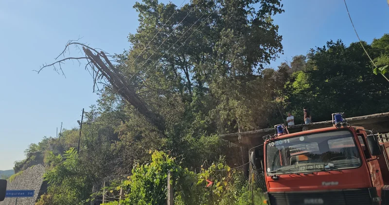 Zonguldak ta kurumuş ağaç elektrik tellerinin üzerine devrilince ormanda yangın çıktı