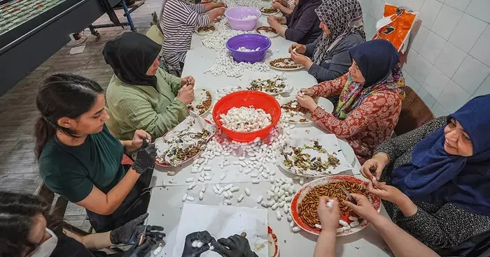 Türkiye de başka yok, dünyada 5 6 tane var: Tek tek ayıklanıp ücretsiz dağıtılıyor!