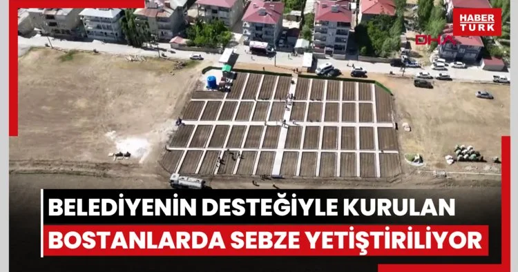 Vanlı kadınlar, belediyenin desteğiyle kurulan bostanlarda sebze yetiştiriyor