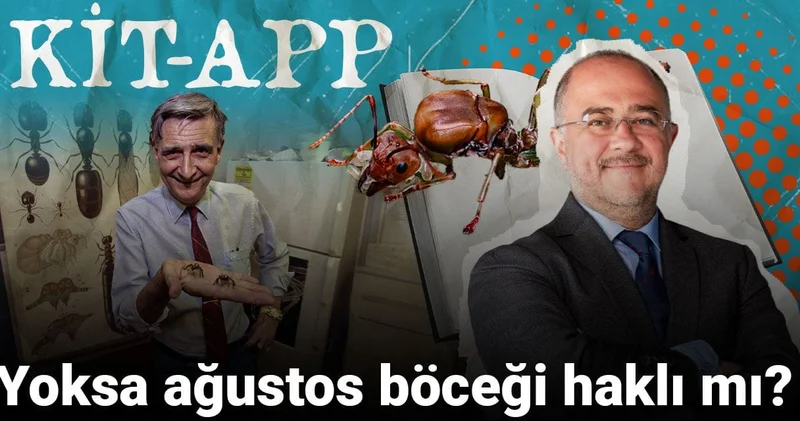 Yoksa ağustos böceği haklı mı?
