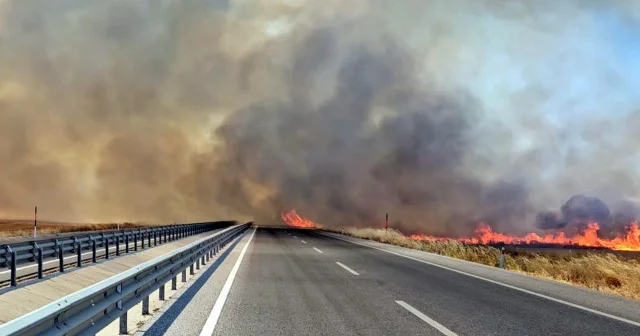 Edirne Havsa arasında tarım arazisinde yangın: Yol çift yönlü trafiğe kapatıldı VİDEO İZLE