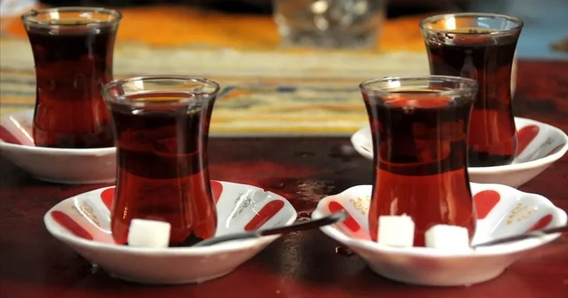 Çayda yeni dönem: Mavi yemişli olarak üretilecek Sözcü Gazetesi