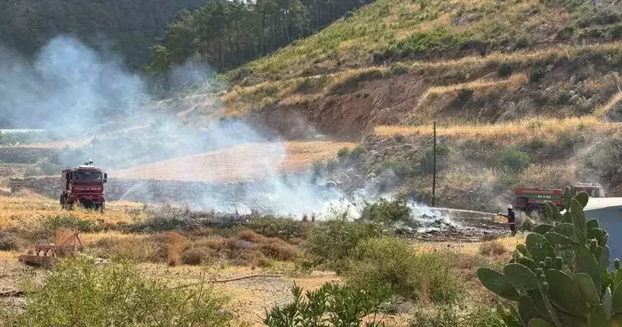 Yangın ormana sıçramadan söndürüldü