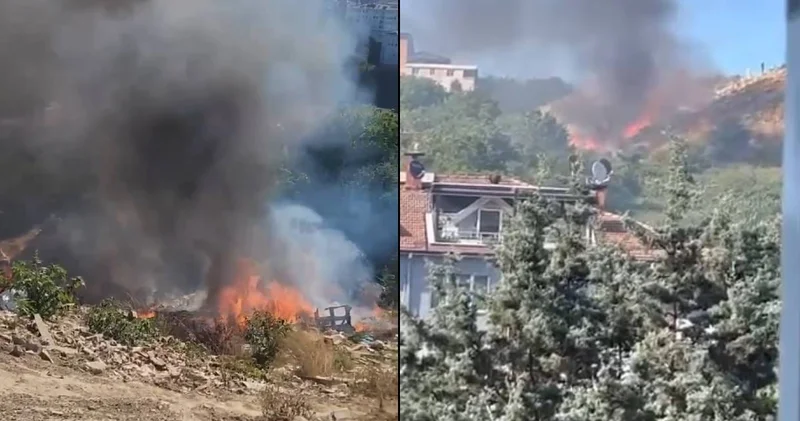 İstanbul da evlere yakın noktada yangın!