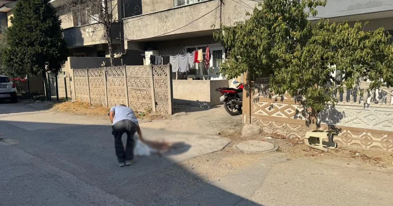 Sakarya da evlat dehşeti! Tartıştığı babasını pompalı tüfekle vurdu