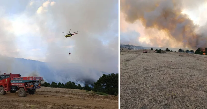 Konya da orman yangını! Çevre illerden helikopter sevk edildi