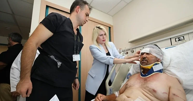 Aslana hakkımı helal ettim