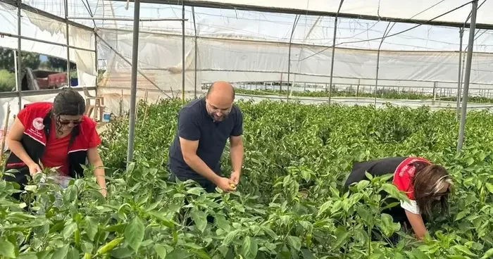Edremit’te hasat öncesi pestisit numunesi alındı