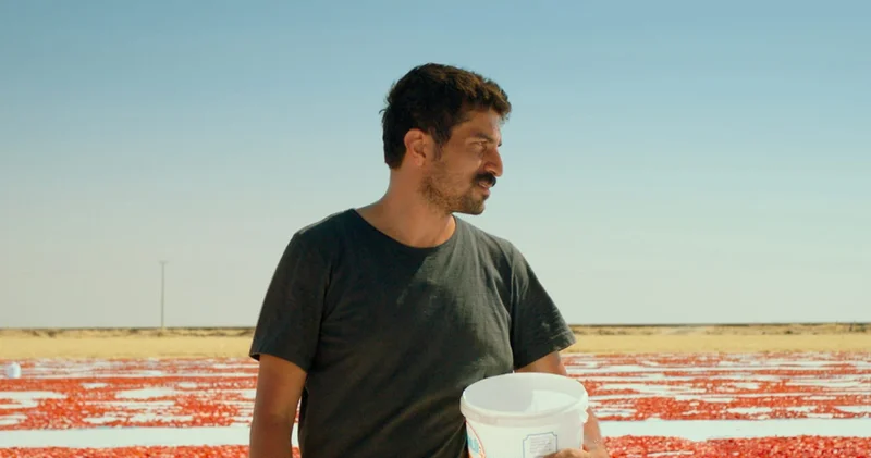 Türkiye nin Oscar adayı filmi açıklandı