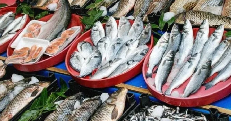 Fırın, ızgara veya kızartma değil: Balığı böyle pişirince faydası 10 kat daha artıyor Sözcü Gazetesi