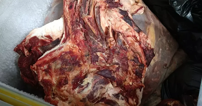 Mersin de bir markette bozulmuş et ele geçirildi
