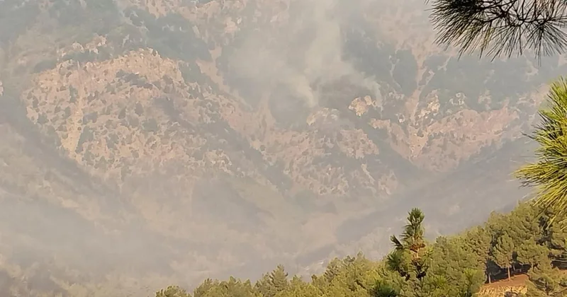 Hatay ve Mersin de orman yangınları sürüyor