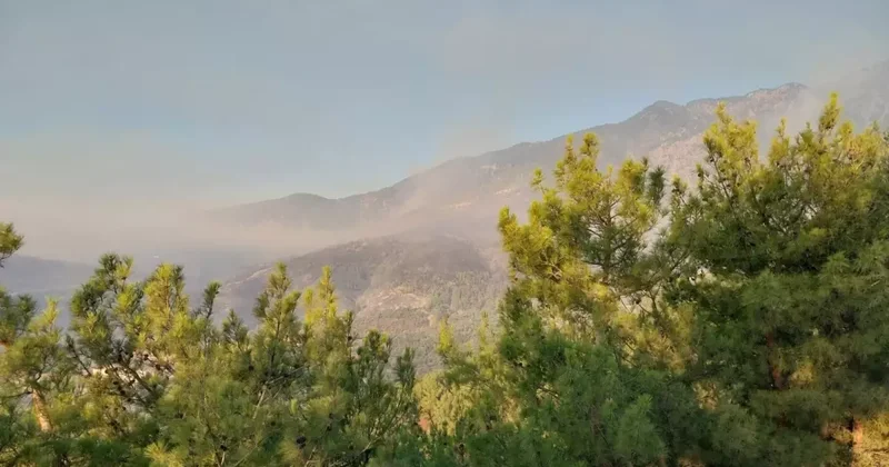 Hatay ve Mersin de orman yangınları ikinci günde! Ekipler alevlerin arasında kaldı