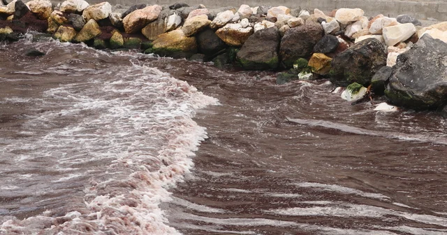 Tekirdağ da poyraz nedeniyle sahilin bir kısmı kırmızı yosunla kaplandı Tekirdağ Haberleri