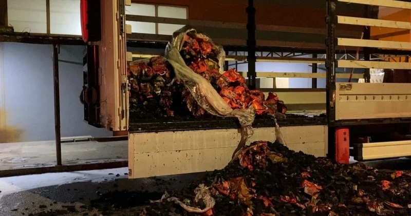İçi yandı: Mangal kömürü dolu TIR da yangın çıktı