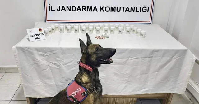 Kırşehir de düzenlenen uyuşturucu operasyonunda 1823 sentetik hap ele geçirildi Kırşehir Haberleri