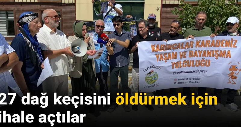 27 dağ keçisini öldürmek için ihale açtılar