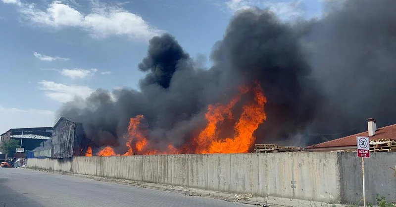 Eskişehir de geri dönüşüm tesisinde yangın: Gökyüzü dumanla kaplandı