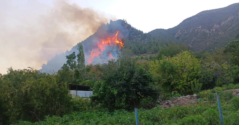 Hatay Kırıkhan da orman yangını çıktı